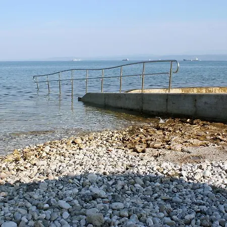 Adriaticas *